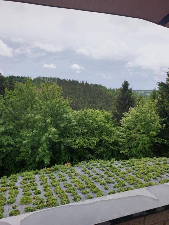 Апартаменты Terrasses De Malmedy - Duplex "Happiness" - Pellet & Airco- Экстерьер фото